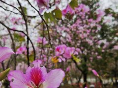 -南宁市凤岭儿童公园