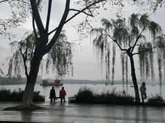 -先春西湖龍井•九曲红梅(杭大路店)