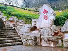 -重庆彩云湖湿地公园