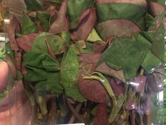 -果蔬好生活超市(乐堤港店)