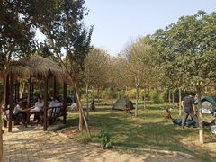 -武汉紫薇都市田园