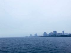 -海豚湾扬帆出海帆船游艇