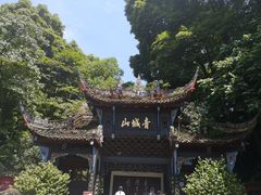 -张醪糟