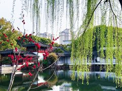 -南园(太仓市)