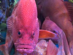 -金悦轩海鲜酒家(银河店)