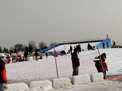 -绿野森林乐园冰雪季