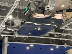 -兰湘子·湘菜小炒(石家庄万象城店)