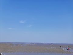 -南汇嘴观海公园