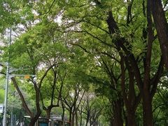 -元大都城垣遗址公园