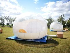 -春花秋色城市公园