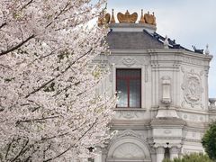 -横店圆明新园