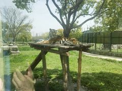 -上海野生动物园