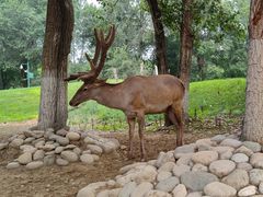 -北京野生动物园