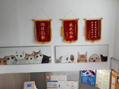 -爱侣宠医·鹦鹉专科·小型哺乳类·异宠专科(灵石路店)