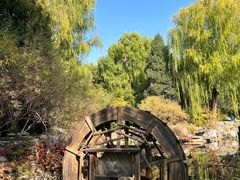 -三忘湖 SWANSEEN(柳荫公园店)