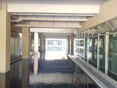 -汕头大学-图书馆