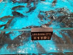 -艳阳天·非遗楚菜(武汉客厅店)