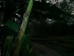 -重庆彩云湖湿地公园