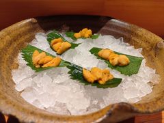 -月龍吟(朝龙汇店)