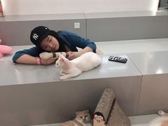 -糯米喵星人·撸猫猫舍咖啡馆(西市场嘉华店)