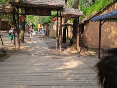 -微山湖红荷湿地景区