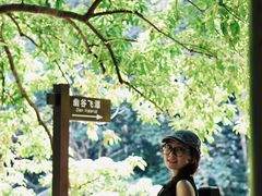 -龙湾潭国家森林公园