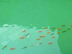 -山西通天峡景区