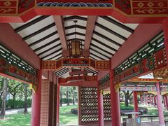 -顺峰山公园