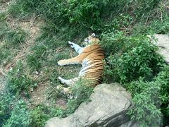 -大连森林动物园