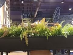 -鲜芋仙(时尚天河店)