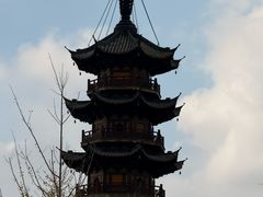 -龙华素斋(龙华路店)