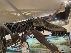 -国家自然博物馆