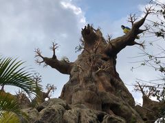 -珠海长隆海洋王国