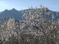 -白水寺森林公园