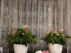 -新侨三宝乐西餐厅(崇文门店)