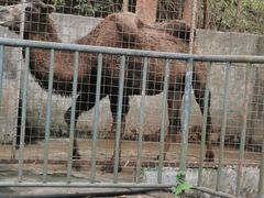 -揭东万竹园旅游景区