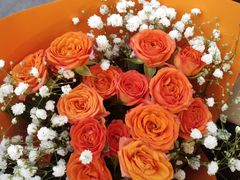 -循礼门鲜花花市(武汉循礼门店)