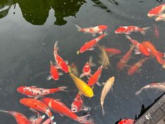 -顺德渔村·岭南一号