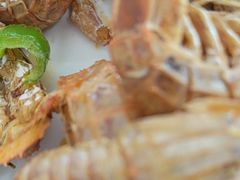 -考记泥焗鸡农庄·海鲜(北洛秘境店)