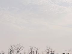 -春花秋色城市公园