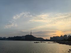 -野狸岛