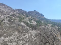 -妙峰山风景名胜区