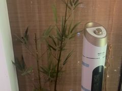 -君之悦·明镜台·SPA古禅足道(解放碑店)
