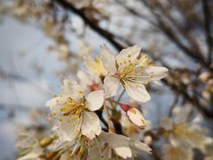 -桤木河湿地公园