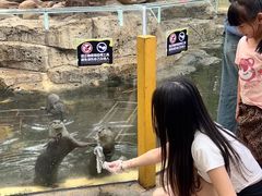 -灵玲国际马戏城