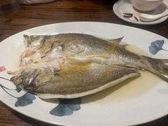 蒸鱼-绿茶餐厅万锦 Green Tea Restaurant Markham