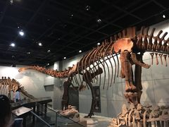 -浙江自然博物院(杭州馆)