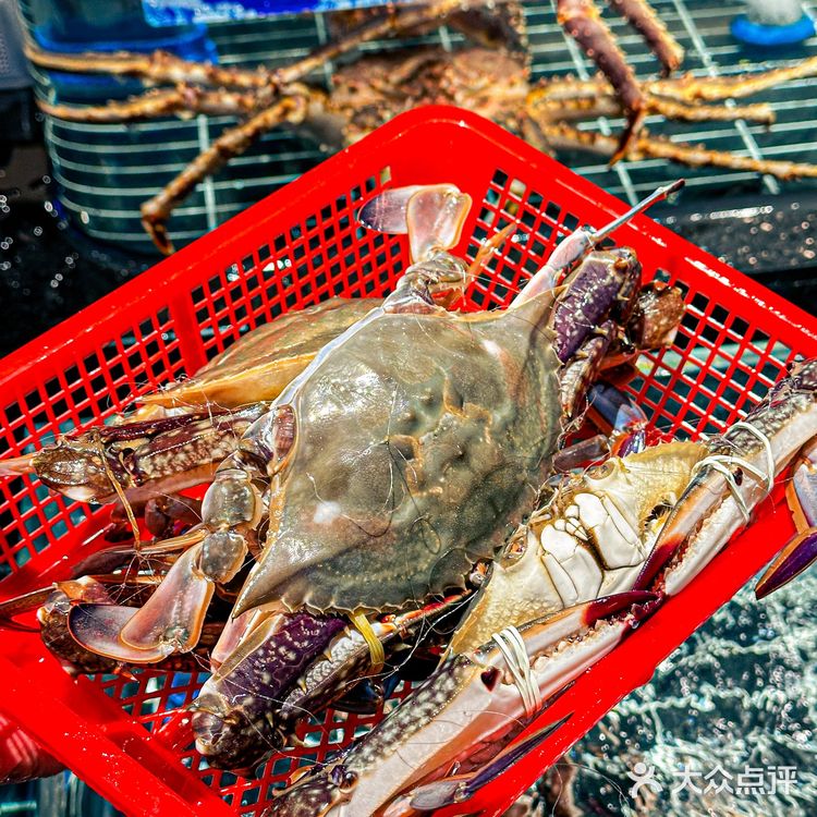 不用去宁波！上海也有了！