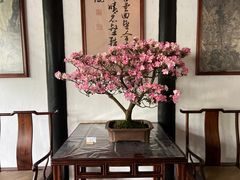 -拙政园