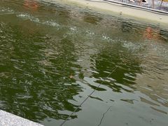 -DGE季风钓虾营地·团建·聚会